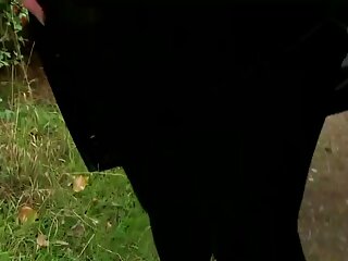 Une brune dodue fait une pipe en gorge profonde à un gros mec noir film porno x américain en chaleur